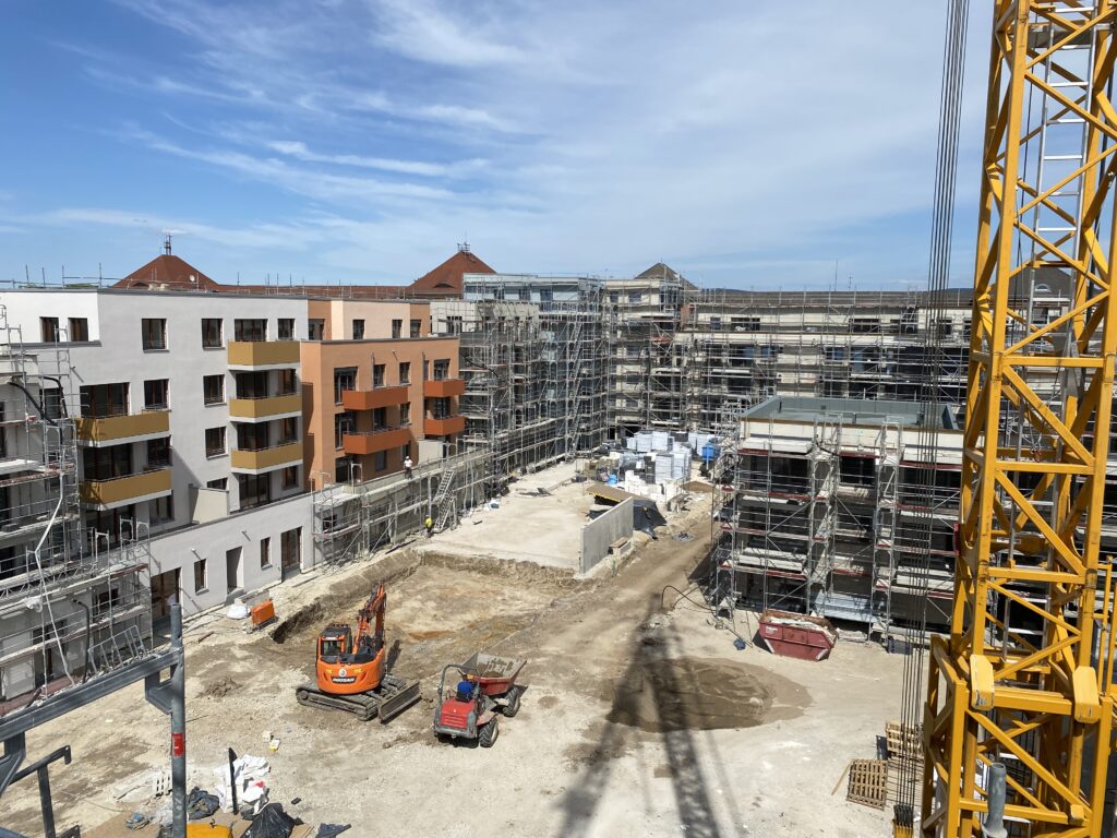 img 7066 1024x768.jpg